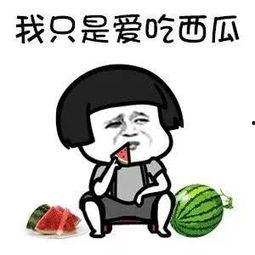 娱乐吃瓜配图